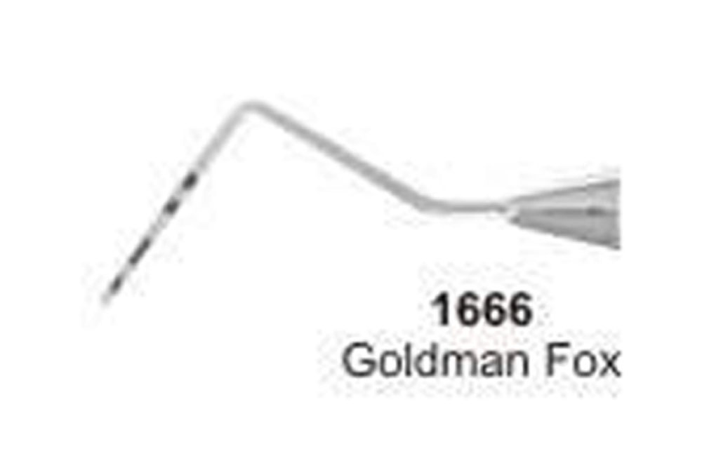 Goldman Fox 